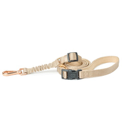 City Collar & Leash Set – Dune