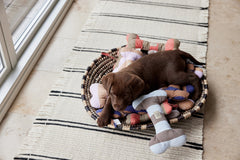 Ashi Dog Toy Large - Ice Blue/Choko