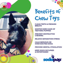 Vampire Bat Chew Toy