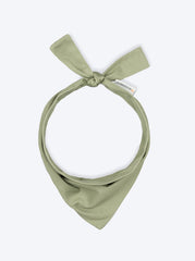 Adventure Bandana - Biscuit & Bell