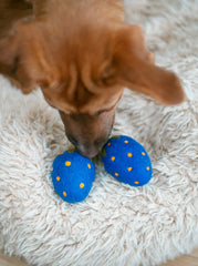 BLUE STRAWBERRY WOOL DOG TOY - Biscuit & Bell