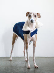 Modern Classic Dog Coat