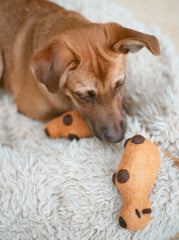Capybara Wool Toy