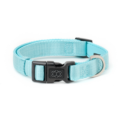 City Collar & Leash Set – Fifth Avenue