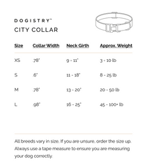 City Collar & Leash Set – Fifth Avenue