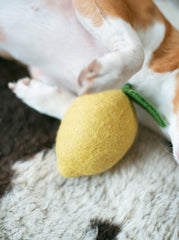 Wool Lemon Toy