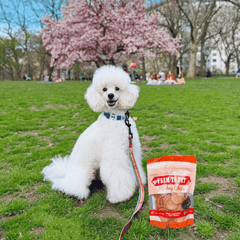 Farm to Pet Turkey Chips