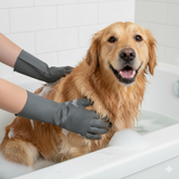 A golden retriever dog sitting in a white bathtub while being washed, with a person wearing dark gray protective gloves visible on both sides.