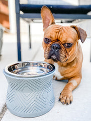 Santa Fe Modern Elevated Dog Bowl