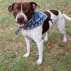 Reversible Braids + Half Moons Dog Bandana