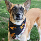 Reversible Cheetahs + Stripes Dog Bandana - Biscuit & Bell