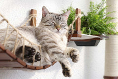 Catastrophic Creations The Juggernaut Cat Playground