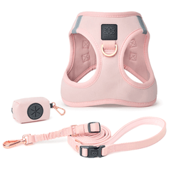 SoHo Dog Walking Set – Blush Pink