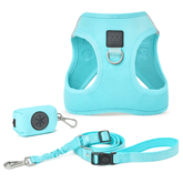 SoHo Dog Walking Set – Fifth Avenue