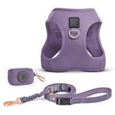SoHo Dog Walking Set – Lilac Gray