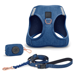SoHo Dog Walking Set – Denim