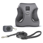 SoHo Dog Walking Set – Steel
