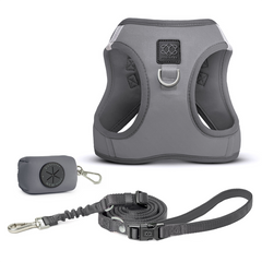 SoHo Dog Walking Set – Steel