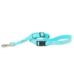 City Collar & Leash Set – Fifth Avenue