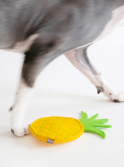 Kitty Pineapple Catnip Toy