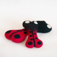 Red and black ladybug-shaped toy on a white background