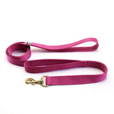 Double Handle Dog Leash (Traffic Leash) - Biscuit & Bell
