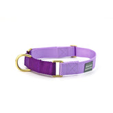 Lilac + Violet Martingale Dog Collar - Biscuit & Bell