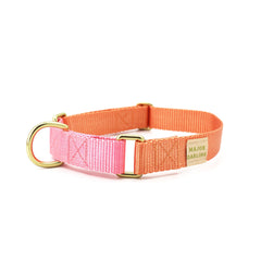 martingale collar / peach + pink - Biscuit & Bell