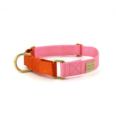 Classic Martingale Dog Collar