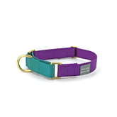 Violet + Teal Martingale Dog Collar - Biscuit & Bell