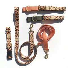 Leopard City Walk Collar + Leash Set