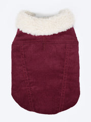 Modern Classic Dog Coat