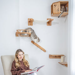 Corner Cat Wall Perch Set