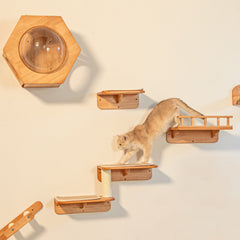 Small Living Room Cat Wall Set
