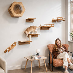 Small Living Room Cat Wall Set
