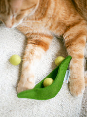 Pea Pod Wool Cat Enrichment Toy