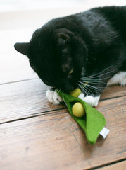 Pea Pod Wool Cat Enrichment Toy - Biscuit & Bell