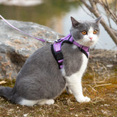 Mr. Peanut’s PurrTrek Cat Harness - Biscuit & Bell