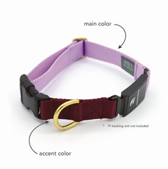 Series 3 / 3+ Fi compatible snap collar / custom colors