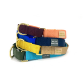 Martingale collar