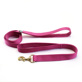 Double handle traffic leash