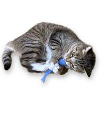 Anchovy Wool Catnip Cat Toy