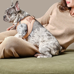 SoHo Dog Walking Set – Dune