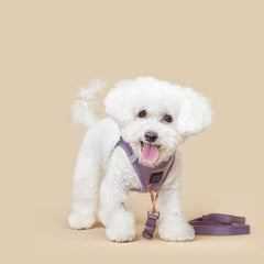 SoHo Dog Walking Set – Lilac Gray