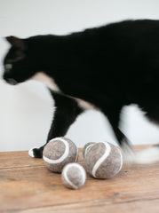 Wool Cat Tennis Balls