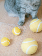 Cat playing with yellow tennis balls on a wooden floor