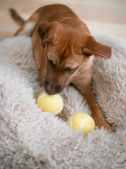 Wool Felt Tennis Ball