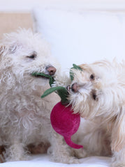 MB Turnip Wool Toy