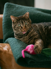 MB Turnip Wool Toy