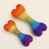 Rainbow Woolbone Dog Toy